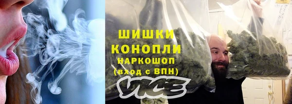 шишки Баксан