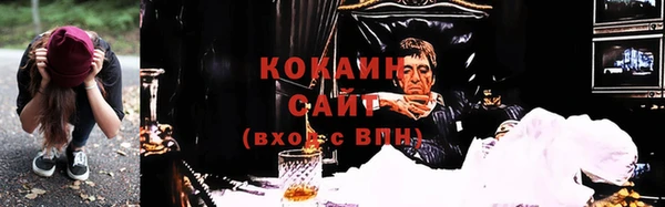 шишки Баксан