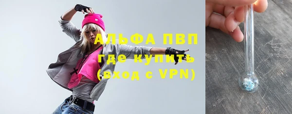 шишки Баксан