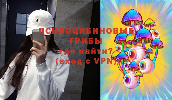 шишки Баксан
