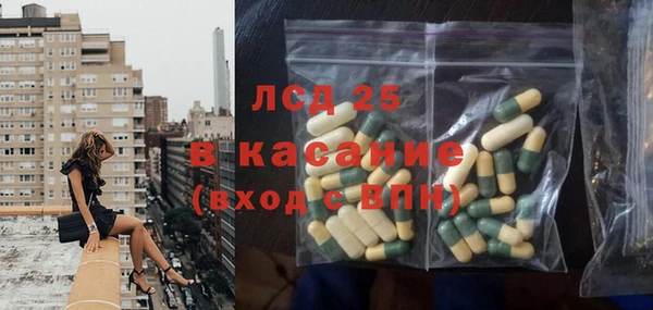 шишки Баксан