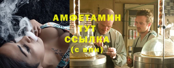 шишки Баксан