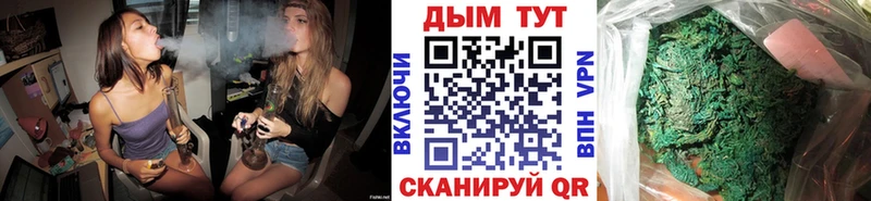 цена наркотик  darknet формула  Канабис планчик  Темников 